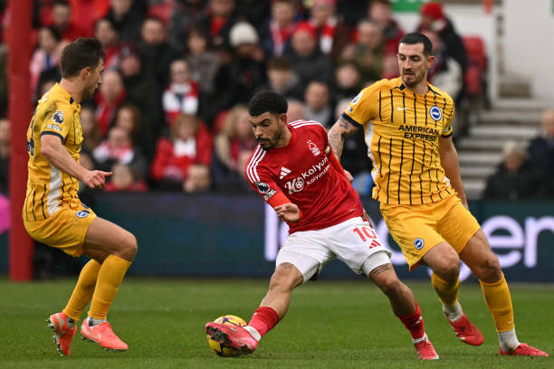 球迷心声 球迷心声