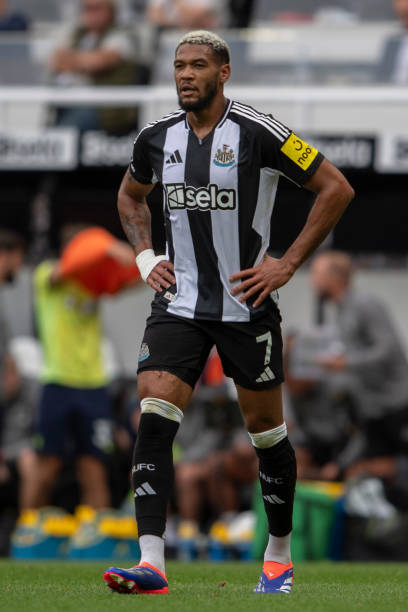 真的非常好 真的非常好